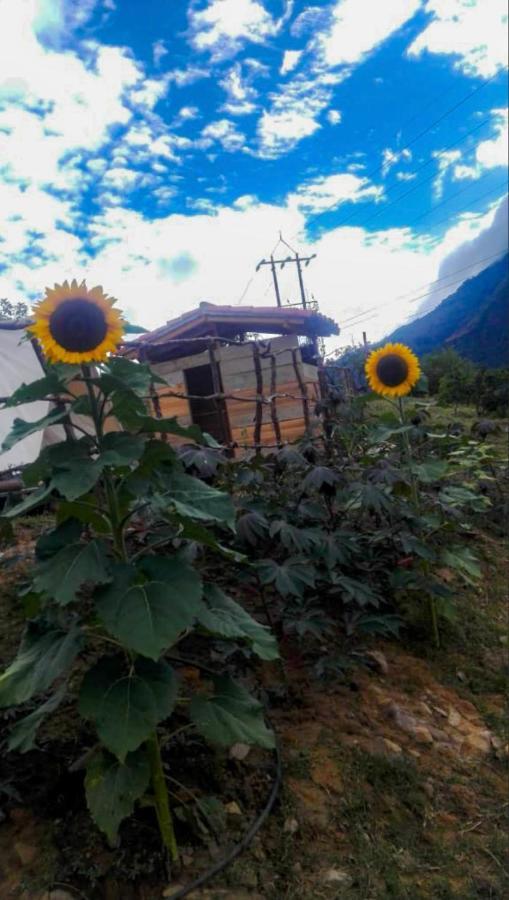 Hostal Las Valkirias Matanza Exteriör bild