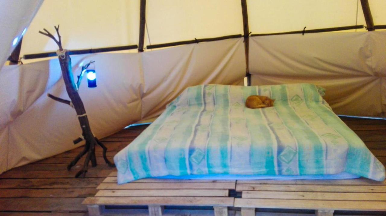 Hostal Las Valkirias Matanza Exteriör bild